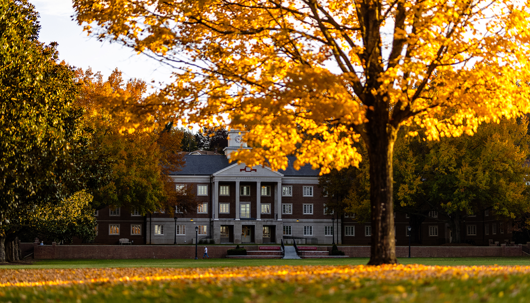 fall trees on campus