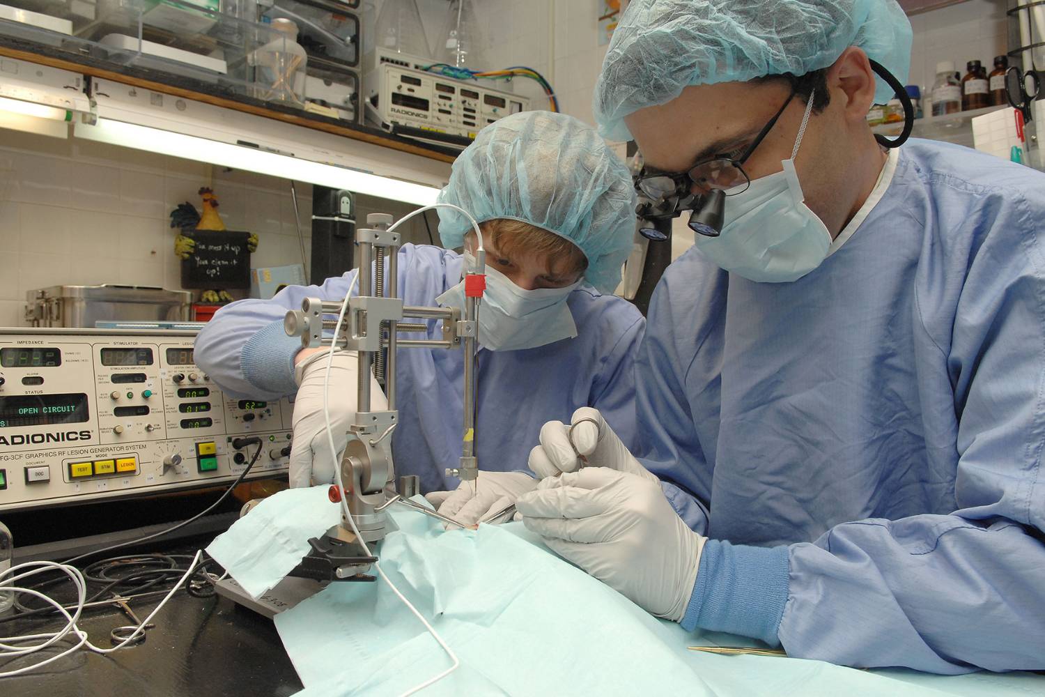 students in biomedical science lab