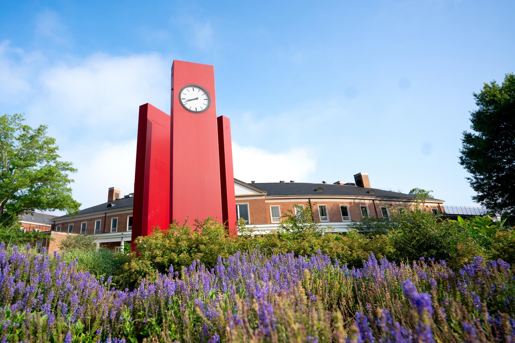 red clocks
