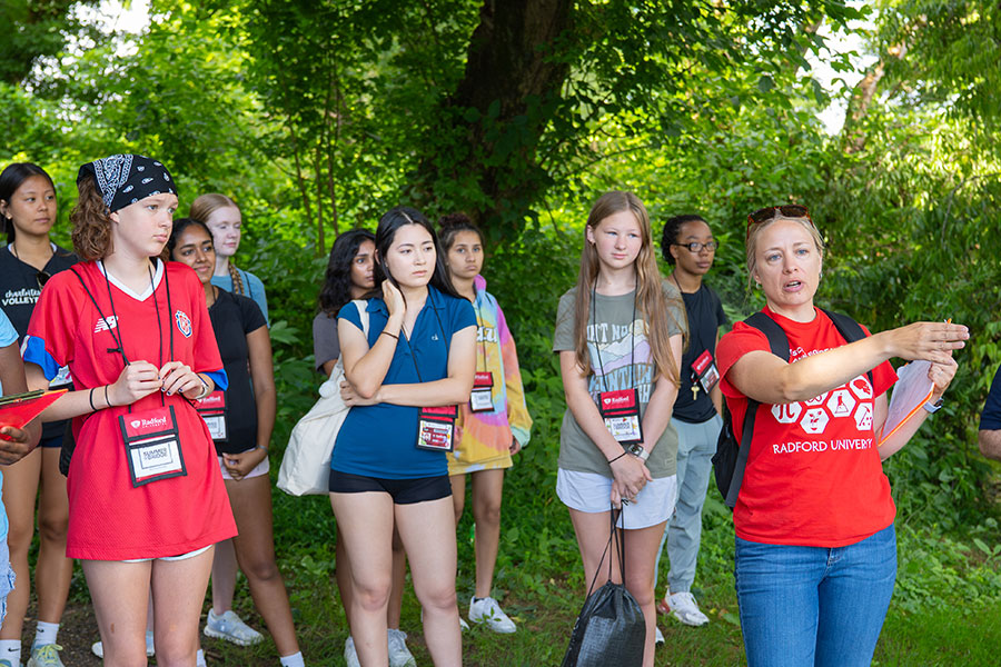 Summer Bridge and BLAST camps