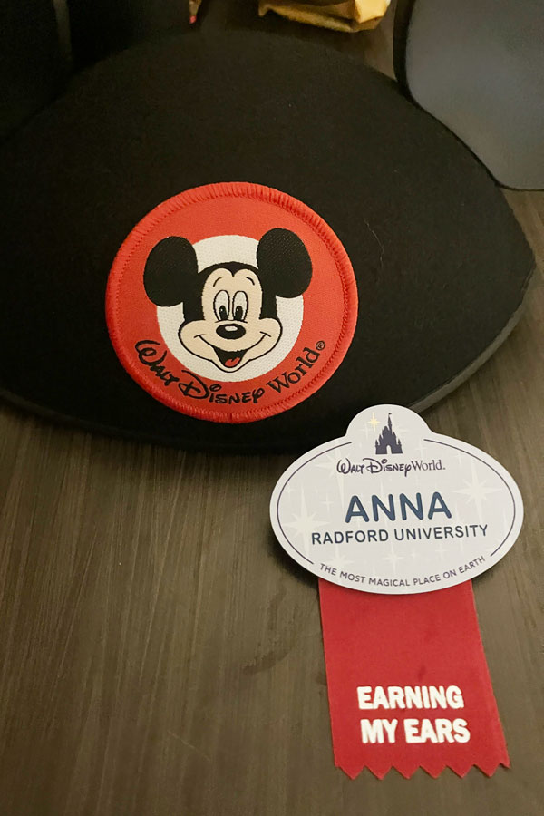 disney internship