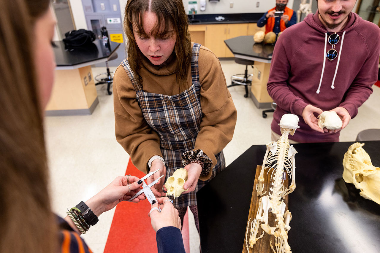 anthropology students