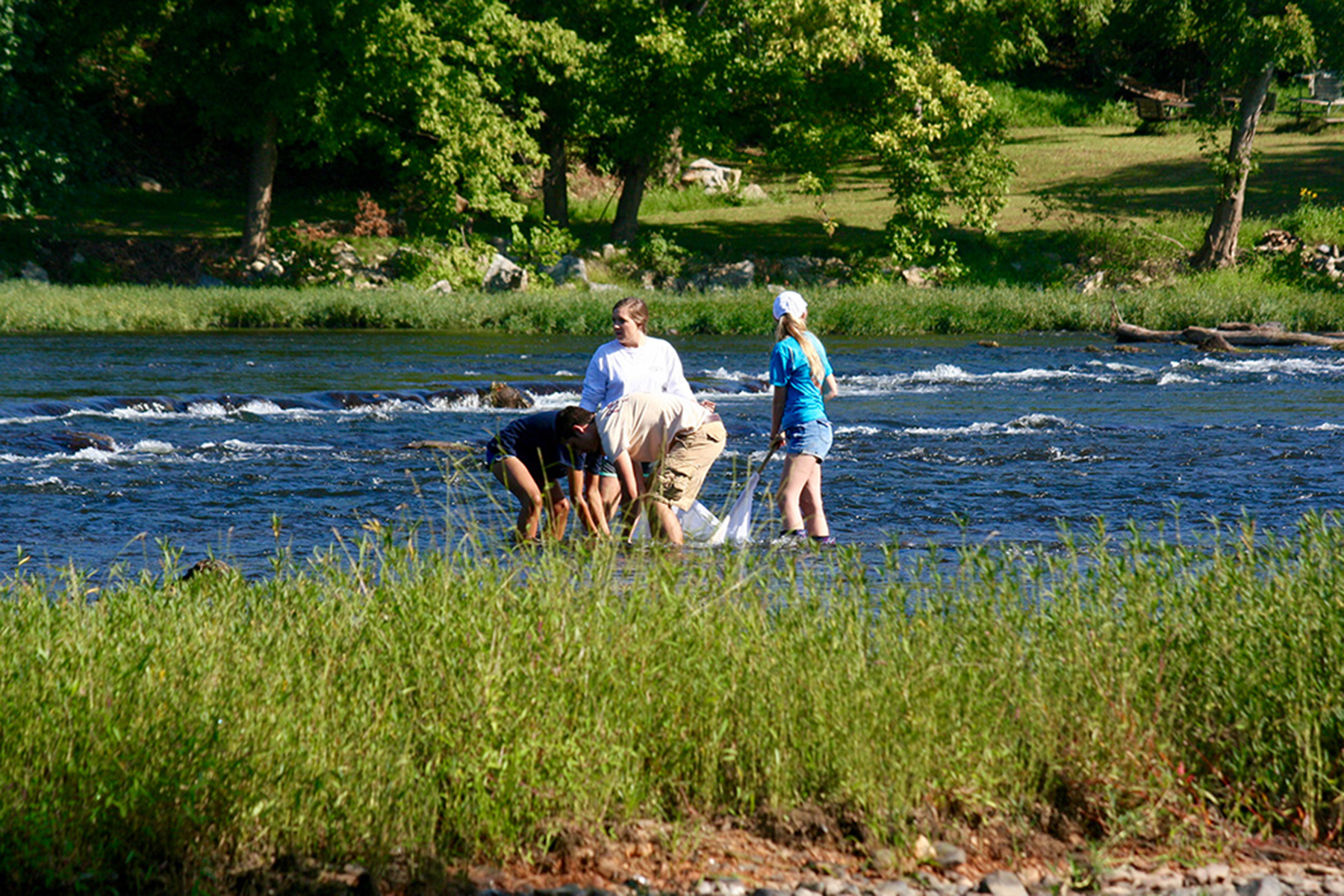 Students in a river