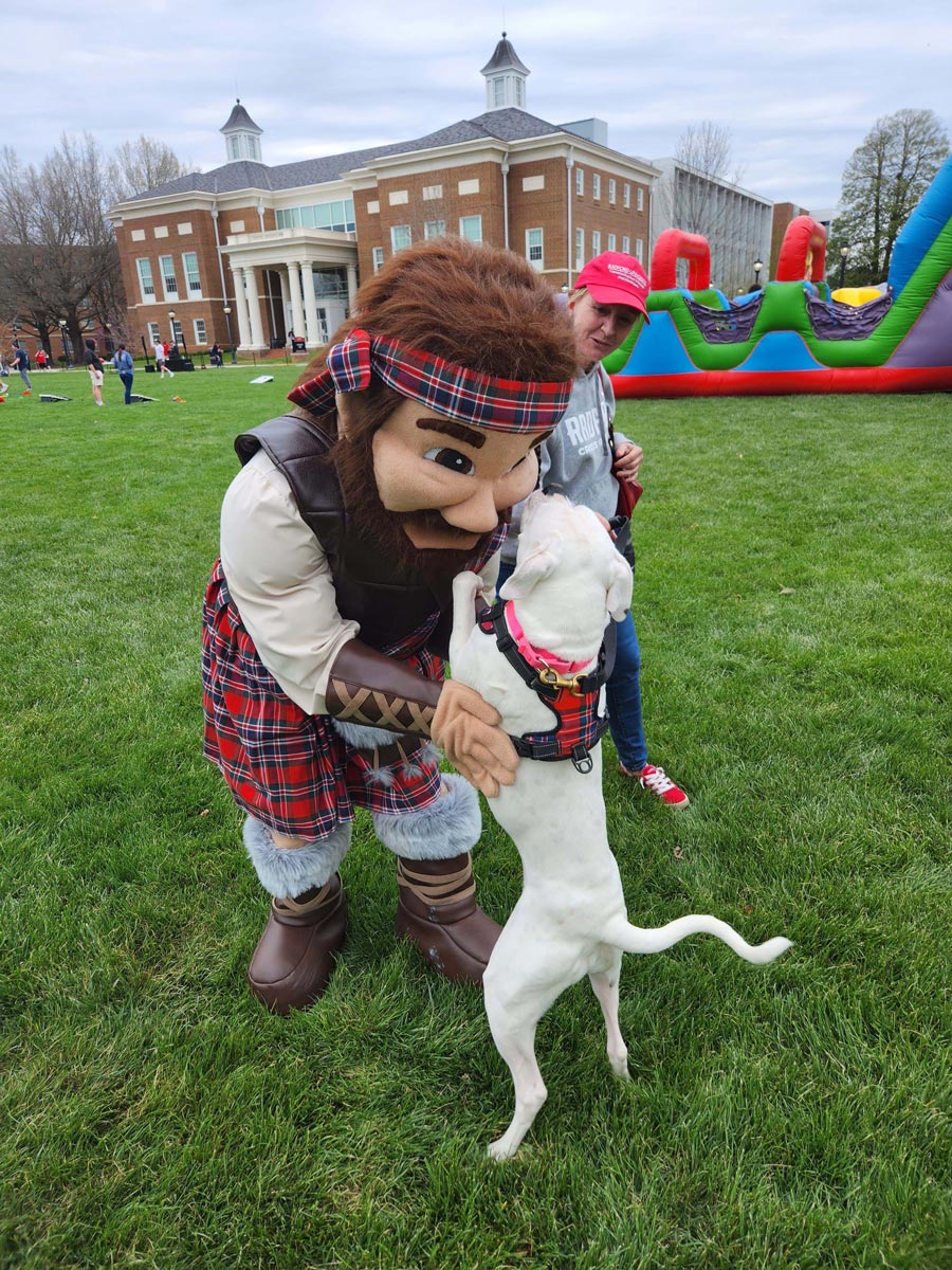 therapy dog with the Highlander